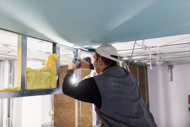 Best Types of Insulation in Whitehouse, TX