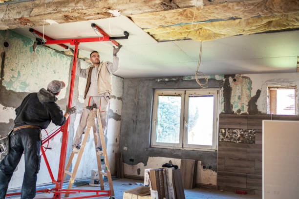 Best Commercial Insulation in Whitehouse, TX